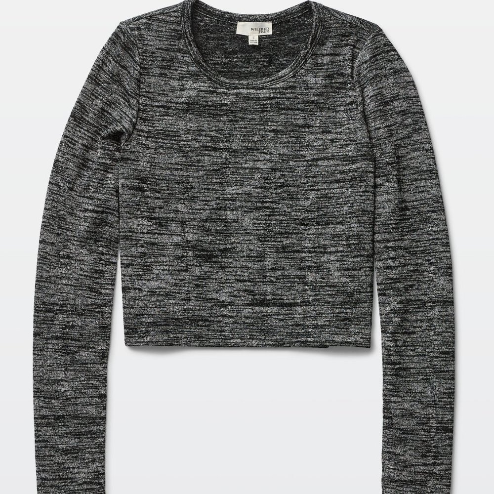 Aritzia cropped long sleeve